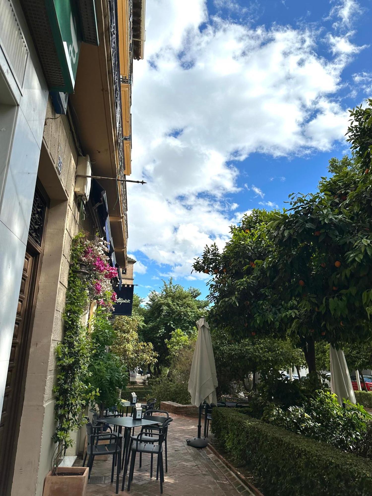 Mevak Home, Granada